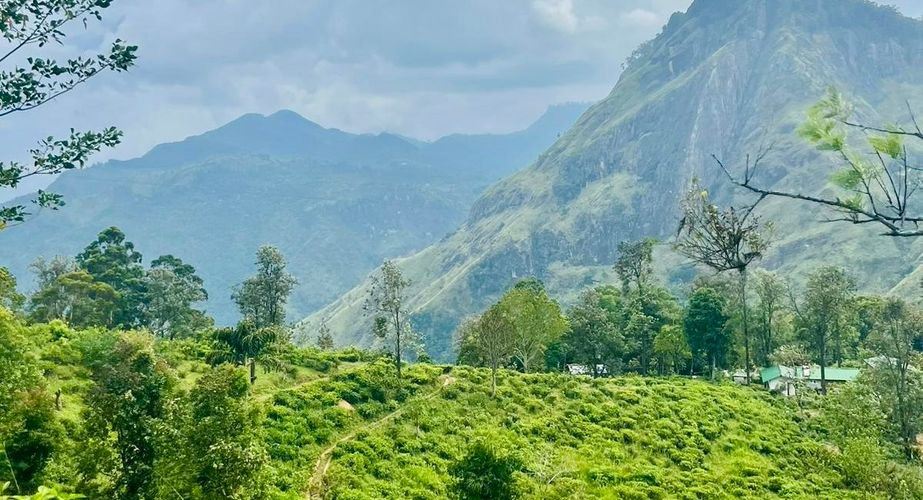 Natuur Sri Lanka Natuur Sri Lanka